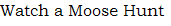 Moose Hunt